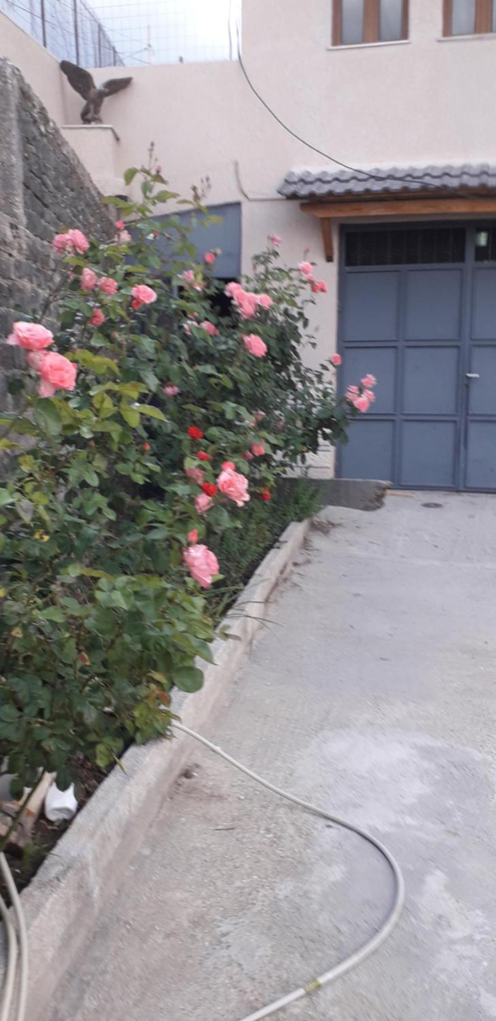 Shena Guest House Gjirokaster Exterior photo